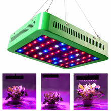 Reflector 240W Led Grow Light Full Spectrum Veg Flower for Medical Plants